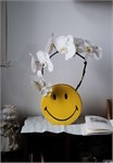 Дизайнерская интерьерная ваза «Smiley Vase» от итальянского премиум-бренда Seletti 10102 - Onlainsale HOME